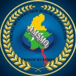 amsmo logo 2 copy