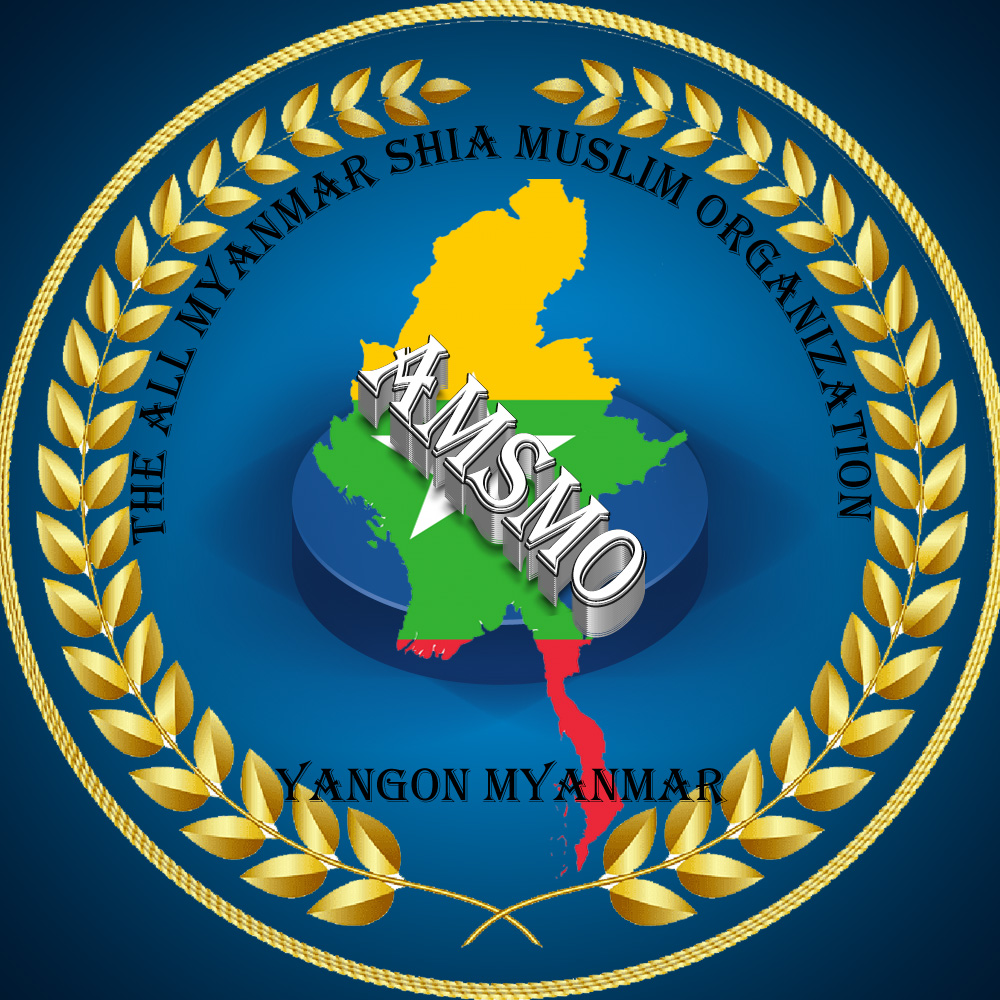 amsmo logo 2 copy